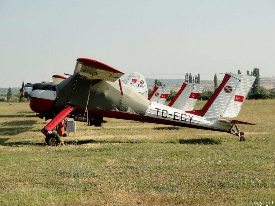 Turkish Aeronautical Association PZL-Okecie PZL-104 Wilga 35A (TC-ECY) | Photo 432340