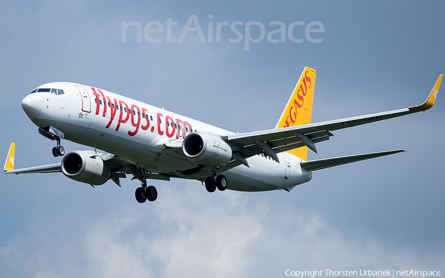 Pegasus Airlines Boeing 737-86J (TC-IZB) | Photo 115650