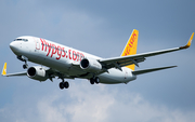 Pegasus Airlines Boeing 737-86J (TC-IZB) at  Dusseldorf - International, Germany