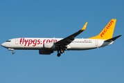 Pegasus Airlines Boeing 737-86J (TC-IZC) at  Dusseldorf - International, Germany