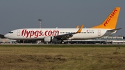 Pegasus Airlines Boeing 737-86J (TC-IZC) at  Dusseldorf - International, Germany