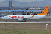 Pegasus Airlines Boeing 737-86J (TC-IZC) at  Istanbul - Ataturk, Turkey