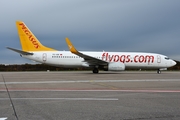 Pegasus Airlines Boeing 737-86J (TC-IZE) at  Cologne/Bonn, Germany