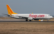 Pegasus Airlines Boeing 737-86J (TC-IZE) at  Frankfurt am Main, Germany