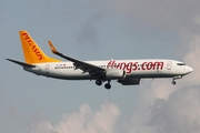 Pegasus Airlines Boeing 737-86J (TC-IZE) at  Istanbul - Ataturk, Turkey