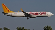 Pegasus Airlines Boeing 737-8GJ (TC-IZI) at  Dusseldorf - International, Germany