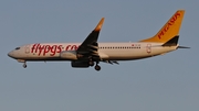 Pegasus Airlines Boeing 737-8GJ (TC-IZI) at  Dusseldorf - International, Germany