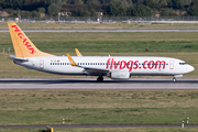 Pegasus Airlines Boeing 737-8GJ (TC-IZI) at  Dusseldorf - International, Germany