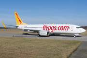 Pegasus Airlines Boeing 737-8GJ (TC-IZI) at  Hannover - Langenhagen, Germany