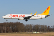 Pegasus Airlines Boeing 737-8GJ (TC-IZI) at  Hannover - Langenhagen, Germany