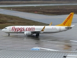 Pegasus Airlines Boeing 737-82R (TC-IZJ) at  Cologne/Bonn, Germany