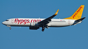 Pegasus Airlines Boeing 737-82R (TC-IZJ) at  Dusseldorf - International, Germany