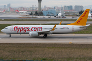 Pegasus Airlines Boeing 737-82R (TC-IZJ) at  Istanbul - Ataturk, Turkey