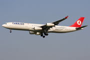 Turkish Airlines Airbus A340-311 (TC-JDJ) at  Amsterdam - Schiphol, Netherlands