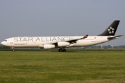 Turkish Airlines Airbus A340-311 (TC-JDL) at  Amsterdam - Schiphol, Netherlands