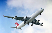 Turkish Airlines Airbus A340-311 (TC-JDM) at  Johannesburg - O.R.Tambo International, South Africa