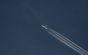 Turkish Airlines Airbus A340-313X (TC-JDN) at  In Flight, Poland