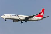 Turkish Airlines Boeing 737-8F2 (TC-JFC) at  Frankfurt am Main, Germany