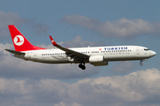 Turkish Airlines Boeing 737-8F2 (TC-JFF) at  Frankfurt am Main, Germany