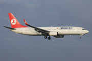 Turkish Airlines Boeing 737-8F2 (TC-JFG) at  Amsterdam - Schiphol, Netherlands
