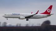 Turkish Airlines Boeing 737-8F2 (TC-JFG) at  Dusseldorf - International, Germany