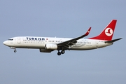 Turkish Airlines Boeing 737-8F2 (TC-JFG) at  Hamburg - Fuhlsbuettel (Helmut Schmidt), Germany
