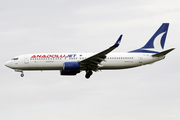 AnadoluJet Boeing 737-8F2 (TC-JFH) at  Amsterdam - Schiphol, Netherlands