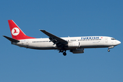 Turkish Airlines Boeing 737-8F2 (TC-JFH) at  Frankfurt am Main, Germany