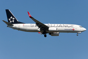 Turkish Airlines Boeing 737-8F2 (TC-JFH) at  Istanbul - Ataturk, Turkey