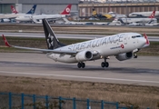 Turkish Airlines Boeing 737-8F2 (TC-JFH) at  Istanbul - Ataturk, Turkey