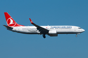 Turkish Airlines Boeing 737-8F2 (TC-JFM) at  Istanbul - Ataturk, Turkey