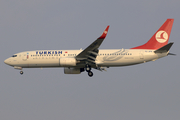 Turkish Airlines Boeing 737-8F2 (TC-JFN) at  Milan - Malpensa, Italy