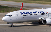 Turkish Airlines Boeing 737-8F2 (TC-JFP) at  Berlin - Tegel, Germany