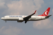 Turkish Airlines Boeing 737-8F2 (TC-JFR) at  Frankfurt am Main, Germany