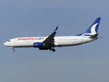 AnadoluJet Boeing 737-8F2 (TC-JFT) at  Frankfurt am Main, Germany