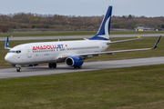 AnadoluJet Boeing 737-8F2 (TC-JFY) at  Hamburg - Finkenwerder, Germany