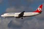 Turkish Airlines Boeing 737-8F2 (TC-JFY) at  Frankfurt am Main, Germany