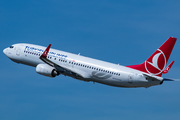 Turkish Airlines Boeing 737-8F2 (TC-JGA) at  Dusseldorf - International, Germany