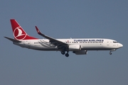 Turkish Airlines Boeing 737-8F2 (TC-JGA) at  Istanbul - Ataturk, Turkey