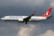 Turkish Airlines Boeing 737-8F2 (TC-JGB) at  Frankfurt am Main, Germany