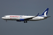 AnadoluJet Boeing 737-8F2 (TC-JGC) at  Hamburg - Fuhlsbuettel (Helmut Schmidt), Germany