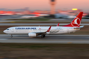 Turkish Airlines Boeing 737-8F2 (TC-JGD) at  Istanbul - Ataturk, Turkey