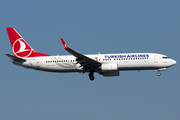 Turkish Airlines Boeing 737-8F2 (TC-JGG) at  Istanbul - Ataturk, Turkey