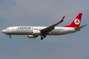 Turkish Airlines Boeing 737-8F2 (TC-JGI) at  Frankfurt am Main, Germany