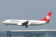 Turkish Airlines Boeing 737-8F2 (TC-JGL) at  Frankfurt am Main, Germany