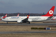 Turkish Airlines Boeing 737-8F2 (TC-JGN) at  Hamburg - Fuhlsbuettel (Helmut Schmidt), Germany