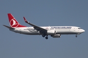 Turkish Airlines Boeing 737-8F2 (TC-JGP) at  Istanbul - Ataturk, Turkey