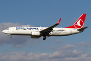 Turkish Airlines Boeing 737-8F2 (TC-JGR) at  Barcelona - El Prat, Spain