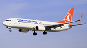 Turkish Airlines Boeing 737-8F2 (TC-JGR) at  Barcelona - El Prat, Spain