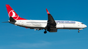 Turkish Airlines Boeing 737-8F2 (TC-JGR) at  Frankfurt am Main, Germany